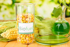 Hopes Green biofuel availability